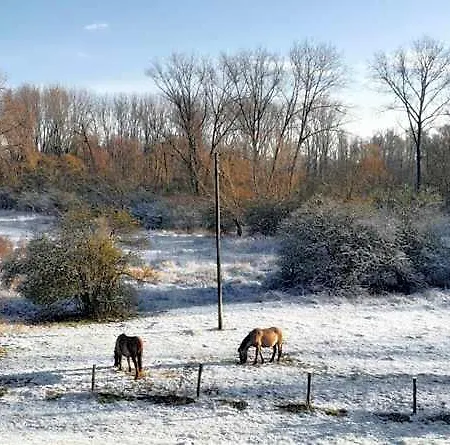 Gezinskamer Waard Kekerdom