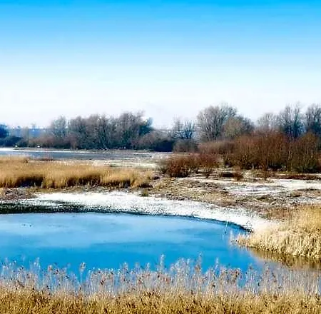 Gezinskamer Waard