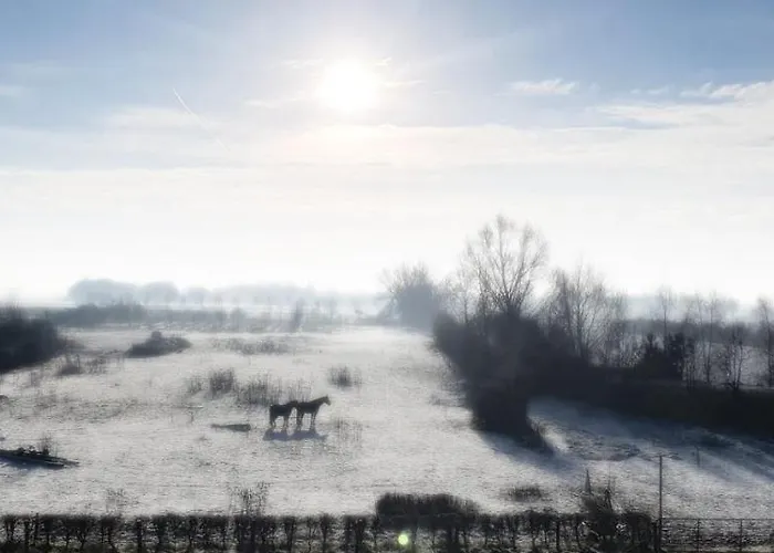 Inn Gezinskamer Waard *