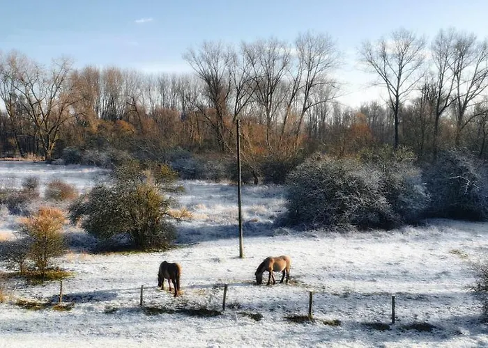 Gezinskamer Waard * Kekerdom