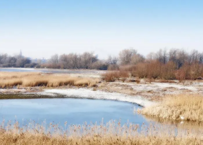 Inn Gezinskamer Waard *