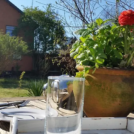 Mini-hôtel Gezinskamer Waard