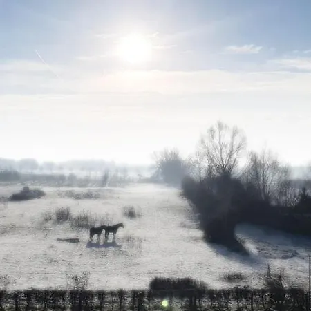 Mini-hôtel Gezinskamer Waard *