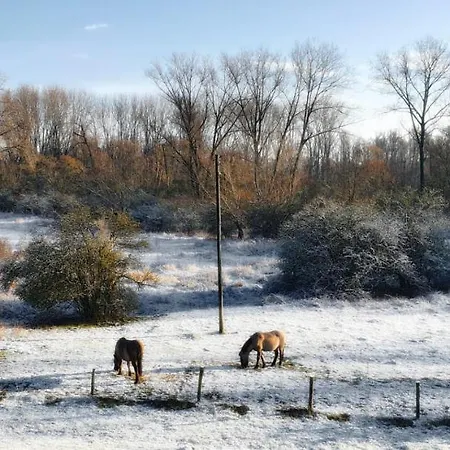 Gezinskamer Waard * Kekerdom