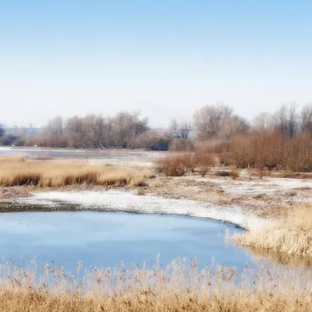 Mini-hôtel Gezinskamer Waard *
