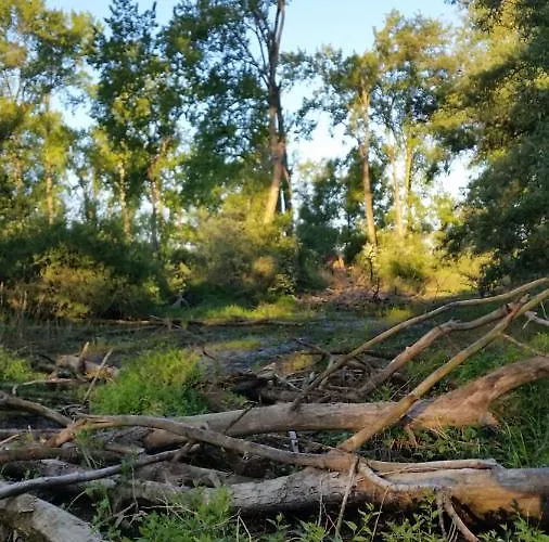 Gezinskamer Waard Värdshus Kekerdom